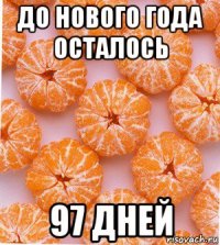 до нового года осталось 97 дней