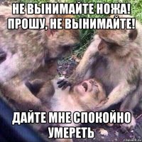 не вынимайте ножа! прошу, не вынимайте! дайте мне спокойно умереть