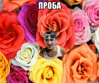 проба 