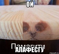 ой алафесгу