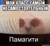 мой класс самый несамостоятельный 