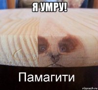 я умру! 