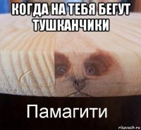 когда на тебя бегут тушканчики 