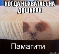 когда не хватает на доширак 