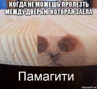 когда не можешь пролезть между дверью которая заела 