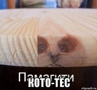  кото-тёс