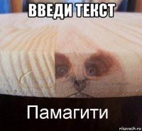 введи текст 