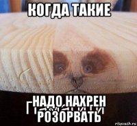 когда такие надо нахрен розорвать