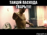 танцуй паскуда тварь!11! 