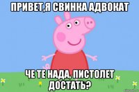 привет,я свинка адвокат че те нада, пистолет достать?