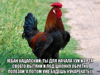  уебан кацапский, ты для начала хуй из рта своего вытяни и под шконку обратно полезай, а потом уже будешь кукарекать))