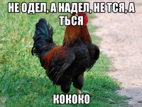 не одел, а надел, не тся, а ться кококо