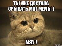 ты уже достала срывать мне мемы ! мяу !