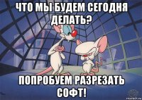 что мы будем сегодня делать? попробуем разрезать софт!