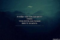 Я найду тебя там, где цветет туман.
Чтоб почти, как раньше вместе засыпать.