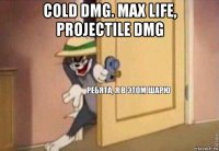 cold dmg. max life, projectile dmg 