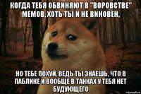 когда тебя обвиняют в "воровстве" мемов, хоть ты и не виновен, но тебе похуй, ведь ты знаешь, что в паблике и вообще в танках у тебя нет будующего