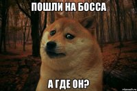 пошли на босса а где он?