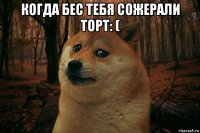 когда бес тебя сожерали торт: ( 