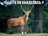 ты что ли обиделась ? а ?