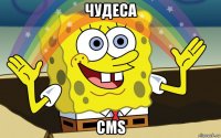 чудеса cms