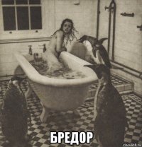  бредор