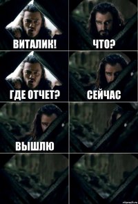 Виталик! Что? Где отчет? сейчас вышлю   