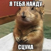 я тебя найду сцука