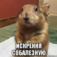  искрення собалезную