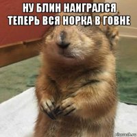 ну блин наигрался теперь вся норка в говне 