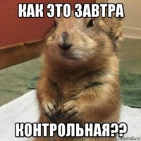 как это завтра контрольная??