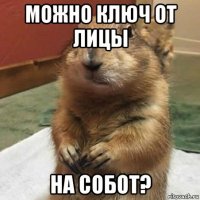 можно ключ от лицы на собот?