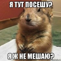 я тут посешу? я ж не мешаю?