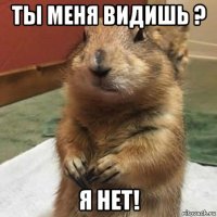 ты меня видишь ? я нет!