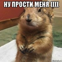 ну прости меня (((( 