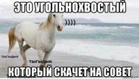 это угольнохвостый который скачет на совет