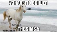 узнал что вышел the sims 5