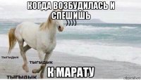 когда возбудилась и спешишь к марату