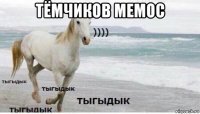 тёмчиков мемос 