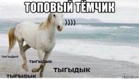 топовый тёмчик 