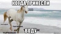 когда принесли воду