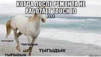 когда после ремонта не работает touch id 