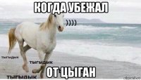 когда убежал от цыган