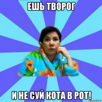 ешь творог и не суй кота в рот!