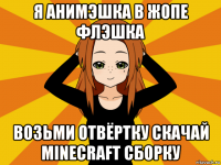 я анимэшка в жопе флэшка возьми отвёртку скачай minecraft сборку