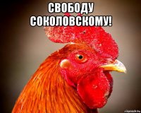 свободу соколовскому! 