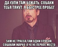 да хули там бежать, собаки тебя тянут, я быстрее пробег 5км не трасса,там одни спуски, собакам жарко, а че не первое место