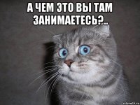 а чем это вы там занимаетесь?.. 