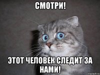 смотри! этот человек следит за нами!