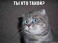 ты кто такой? 